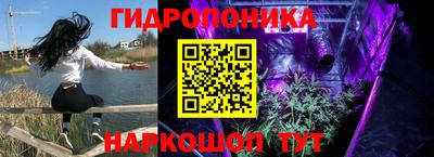 СК Бузулук