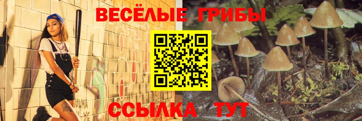 Псилоцибиновые грибы GOLDEN TEACHER  Галлюциногенные грибы Magic Shrooms  Рассказово  Вход с VPN 