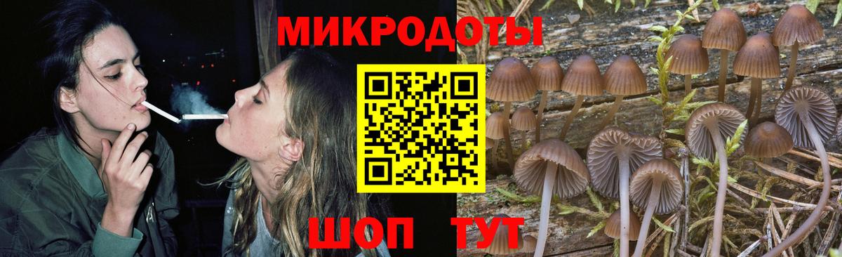 Галлюциногенные грибы Psilocybine cubensis Рассказово