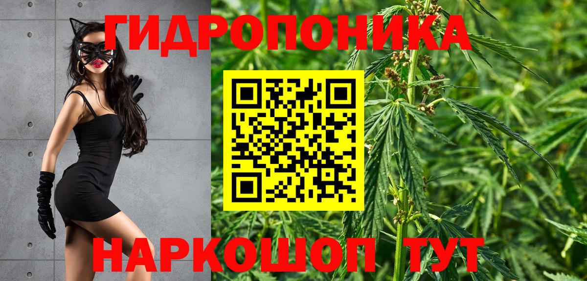 Бошки марихуана конопля  Марихуана план  Бошки Шишки Bruce Banner  Вход с VPN  Рассказово 